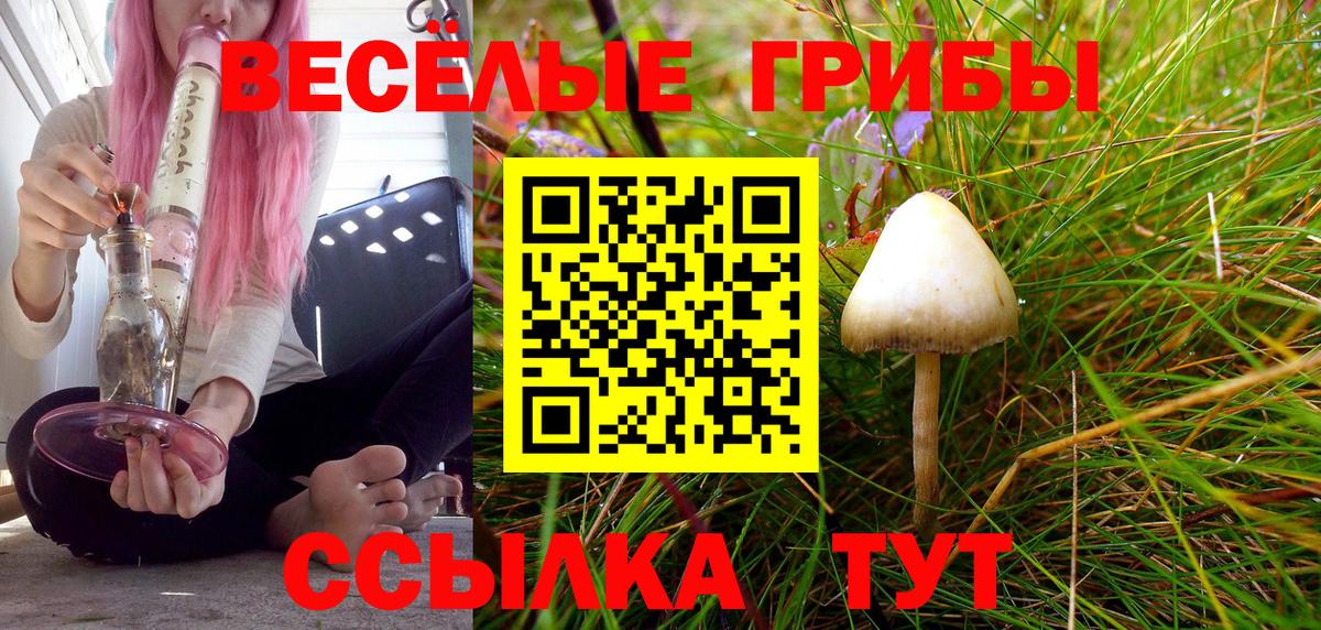 Псилоцибиновые грибы Magic Shrooms  Псилоцибиновые грибы мицелий  Коряжма  Вход с VPN 
